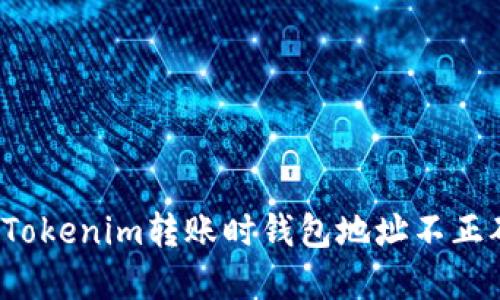 如何解决Tokenim转账时钱包地址不正确的问题？