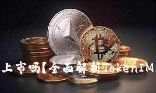 TokenIM的币都能上市吗?全面解析TokenIM上市策略与可能性