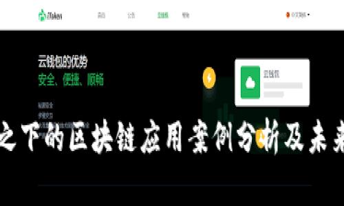 风口之下的区块链应用案例分析及未来展望