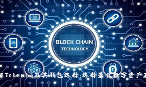 深入了解Tokenim及其钱包选择:选择最佳数字资产存储方案