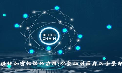 区块链加密性强的应用:从金融到医疗的全景分析