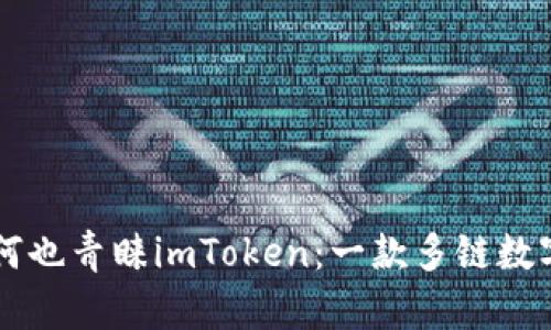 国外用户为何也青睐imToken：一款多链数字钱包全解析