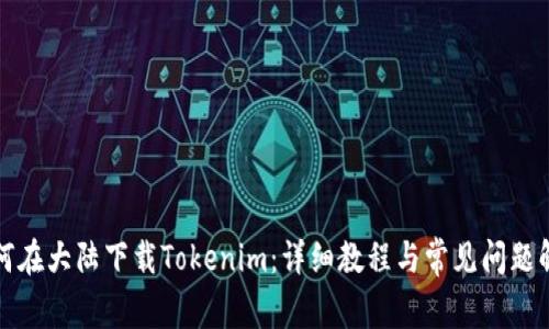 如何在大陆下载Tokenim:详细教程与常见问题解答