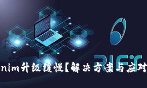 Tokenim升级缓慢？解决方案与应对策略
