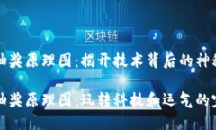 区块链抽奖原理图：揭开技术背后的神秘面纱区