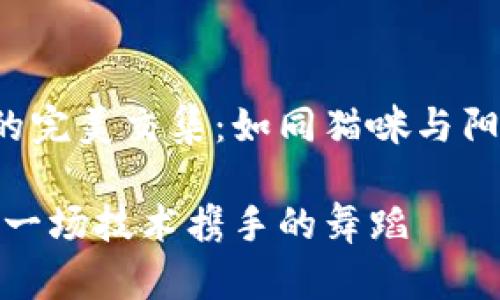 IM2.0与BSC的完美交集：如同猫咪与阳光的亲密关系

IM2.0和BSC：一场技术携手的舞蹈