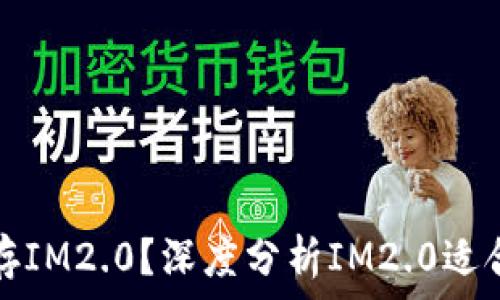   
什么币可以存IM2.0？深度分析IM2.0适合的加密资产