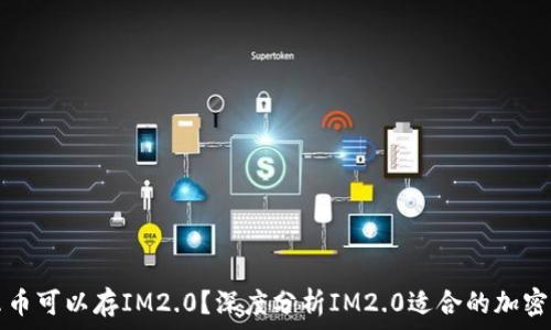   
什么币可以存IM2.0？深度分析IM2.0适合的加密资产