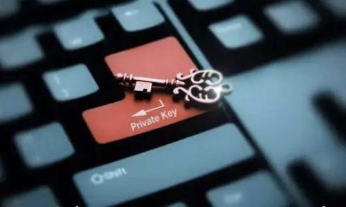 

全面解析Tokenimgas的用法与应用场景