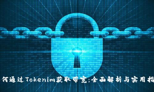 如何通过Tokenim获取带宽：全面解析与实用指南