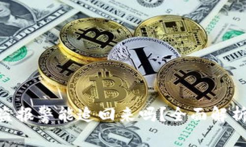 Tokenim被盗报警能追回来吗？全面解析与应对方法