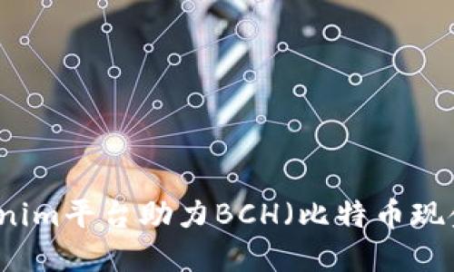 如何通过Tokenim平台助力BCH（比特币现金）投资与交易