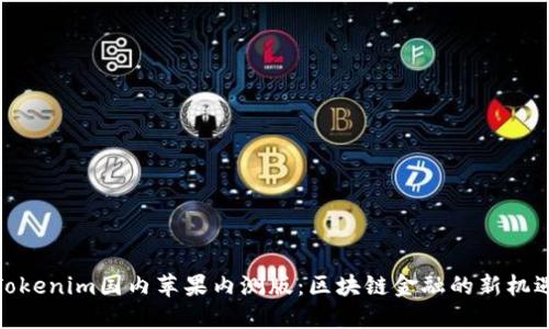 Tokenim国内苹果内测版：区块链金融的新机遇