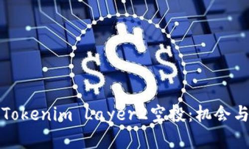 深入了解Tokenim Layer2空投：机会与挑战并存