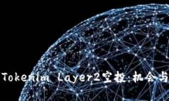 深入了解Tokenim Layer2空投：机会与挑战