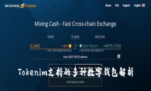 Tokenim支持的多种数字钱包解析