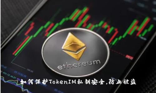 如何保护TokenIM私钥安全，防止被盗