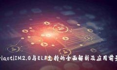 riaotiIM2.0与ELF支持的全面解析及应用前