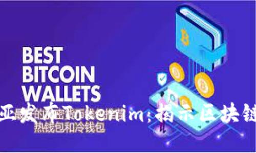 : 努比亚发布Tokenim：揭示区块链新未来