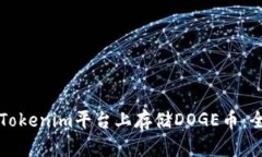 如何在Tokenim平台上存储DOGE币：全面指